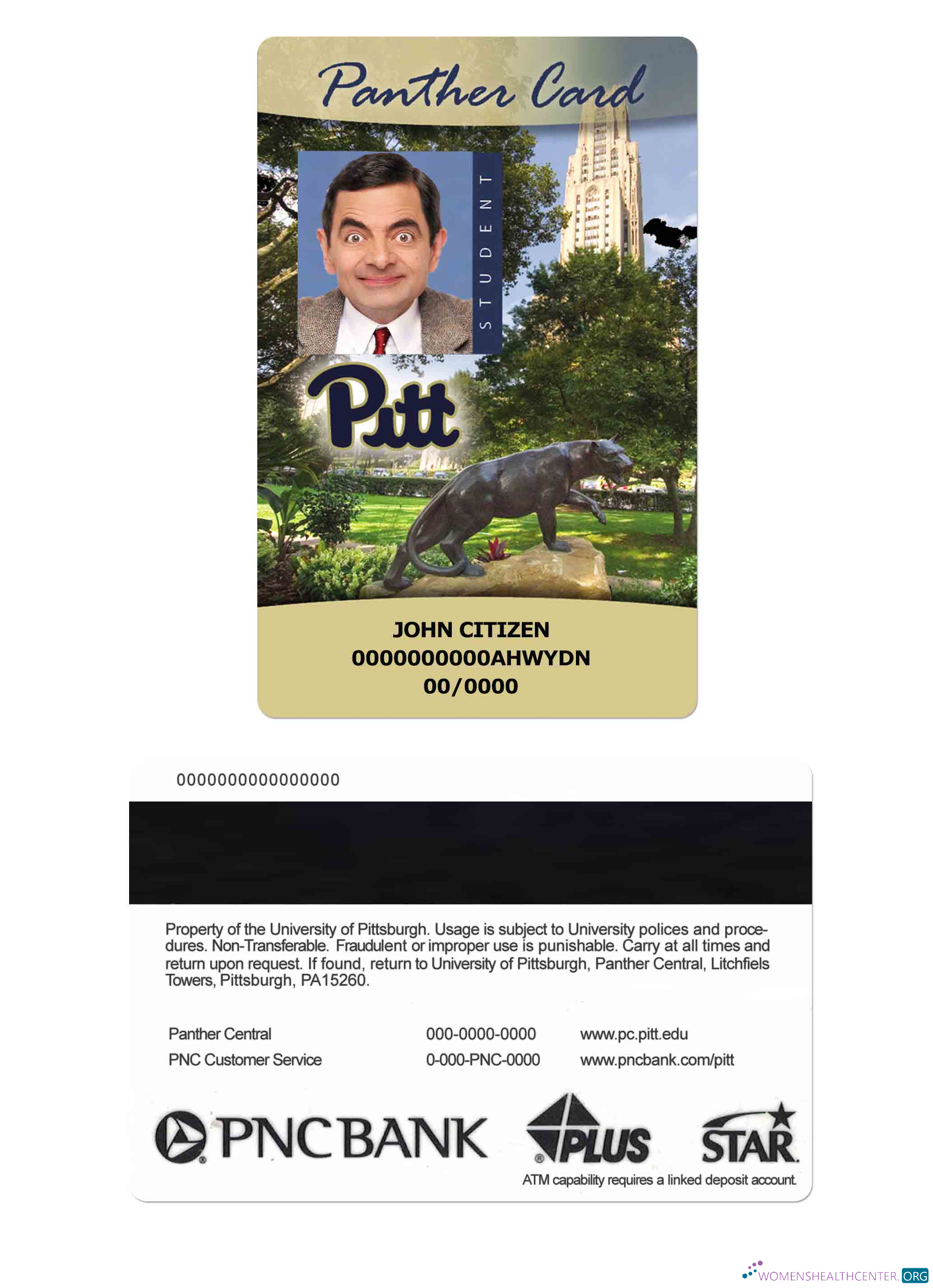 Download USA The University of Pittsburgh Student ID card, Panther card Photoshop template